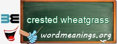 WordMeaning blackboard for crested wheatgrass